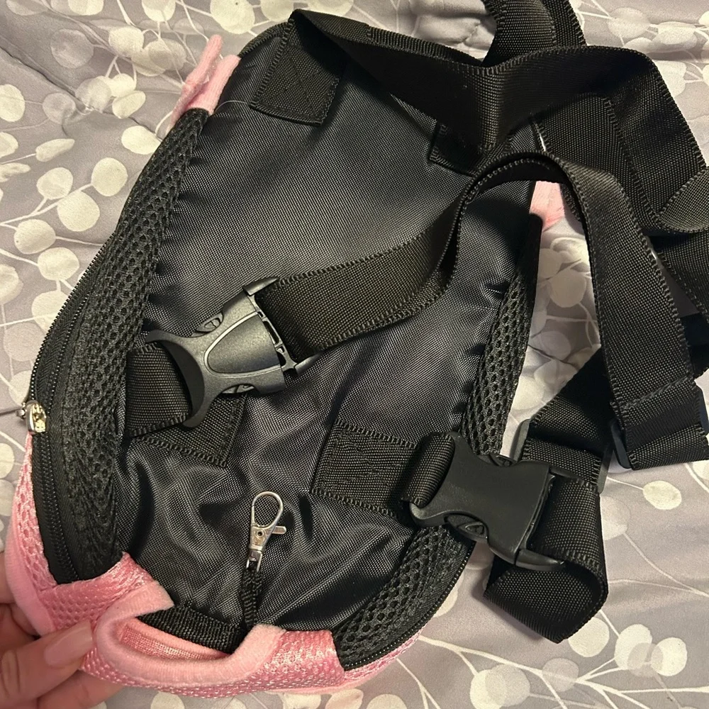 Small dog carrying backpack